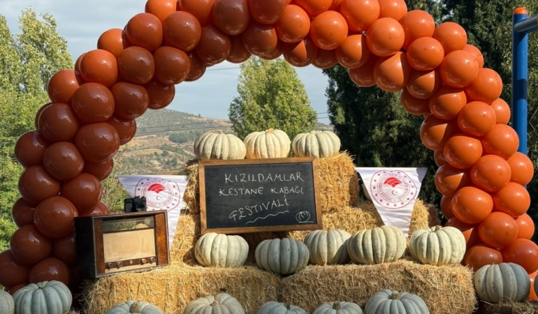 11haber-10575102-bilecik-in-meshur-kabagi-cikti-0.jpg