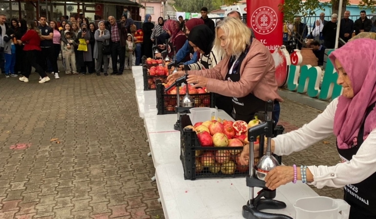 11haber-337443-nar-festivali-basliyor-0.jpg