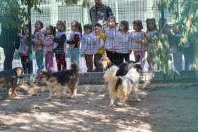 11haber-63101061-minikler-can-dostlariyla-bulustu-0.jpg