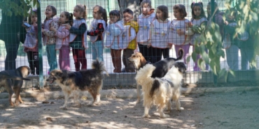 11haber-63101061-minikler-can-dostlariyla-bulustu-0.jpg