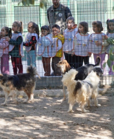 11haber-63101061-minikler-can-dostlariyla-bulustu-0.jpg