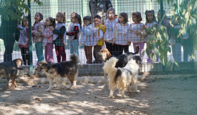11haber-63101061-minikler-can-dostlariyla-bulustu-0.jpg