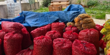 11haber-7810873-bilecik-te-ceviz-satislari-basladi-2.jpg