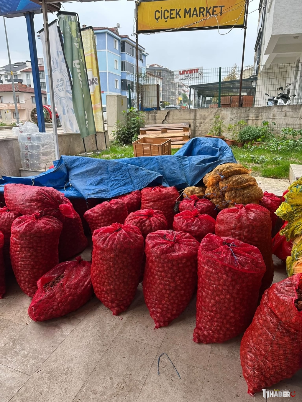 11haber-7810873-bilecik-te-ceviz-satislari-basladi-2.jpg