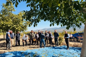 11haber-8486105-kaymakam-titiz-ceviz-hasadina-katildi-0.jpg
