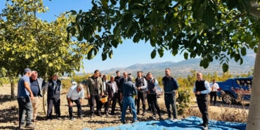 11haber-8486105-kaymakam-titiz-ceviz-hasadina-katildi-0.jpg