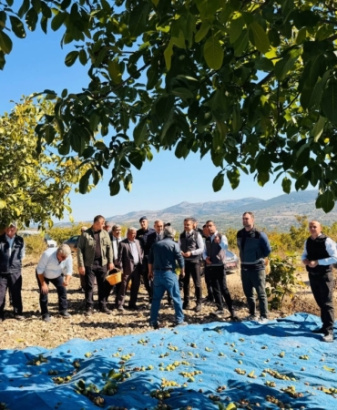 11haber-8486105-kaymakam-titiz-ceviz-hasadina-katildi-0.jpg