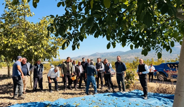 11haber-8486105-kaymakam-titiz-ceviz-hasadina-katildi-0.jpg